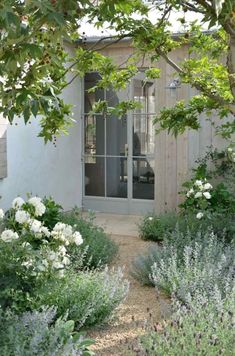 an image of a garden with flowers and trees