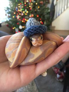 a hand holding a small doll with a knitted hat on it's head