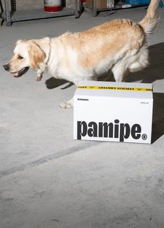 a dog is standing next to a box that says pamipe on it's side