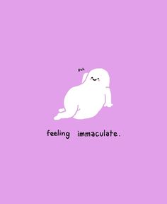 a purple background with the words feeling imaculate and an image of a white cat