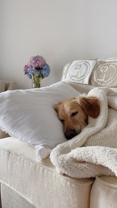 a brown dog laying on top of a white couch under a blanket next to a vase with flowers