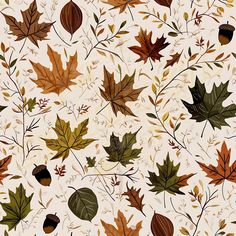 an image of autumn leaves and acorns on a white background for wallpaper