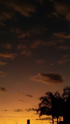 an airplane flying in the sky at sunset with palm trees and power lines behind it