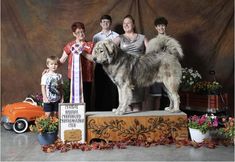 a group of people standing next to a dog