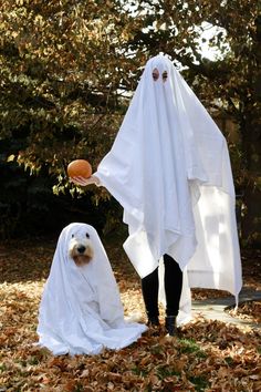 two dogs dressed up as ghost and dog in white robes