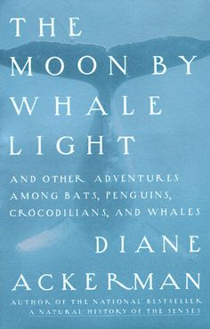 the moon by whale light and other adventures among sea creatures, crocodians, and whales