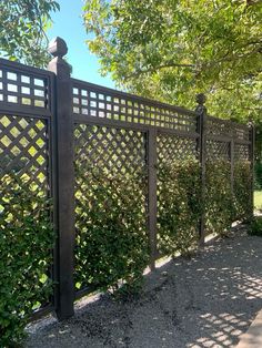 an iron fence in the middle of a garden