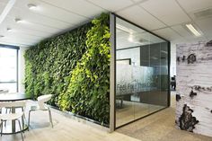 an office with a green wall in the middle