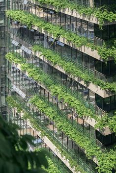 an office building with many windows and plants growing on it