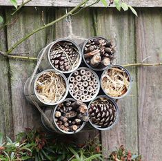 several tin cans filled with pine cones hanging from a wooden fence next to some plants