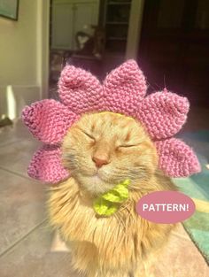 an orange cat wearing a pink knitted flower hat