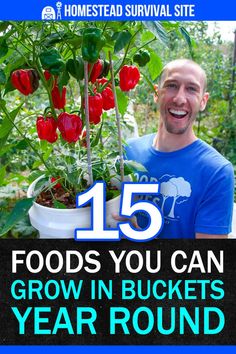 a man holding a potted plant with the words 15 foods you can grow in buckets year round