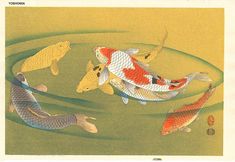 an image of four koi fish swimming in the water with goldfish around them