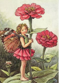 Flower Fairies Cicely Mary Barker Coloring Pages, Poppy Fairy, Shirley Poppy, Linda Ravenscroft, Fairy Drawings, Fairy Images