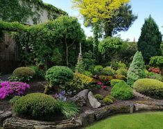 a garden with lots of trees and bushes