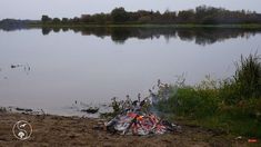 a campfire on the shore of a lake