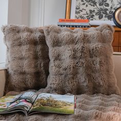 two pillows on a couch with a book