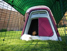 two dogs are sitting in their kennels on the grass