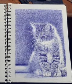 Ballpoint Pen Portrait Drawing Pen Drawing Blue, Blue Pen Sketch Simple, Pen Portrait Drawing, Pen Portraits, Cats Art Drawing