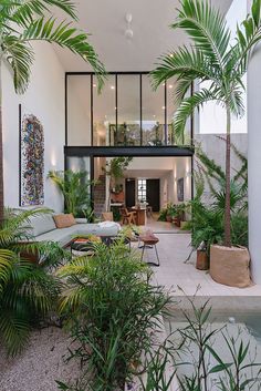 the inside of a house with lots of palm trees and plants in front of it