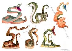 an image of snakes in different poses