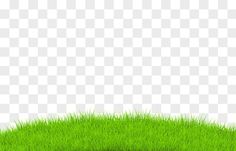 green grass on a white background, with space for text or an empty area to put your