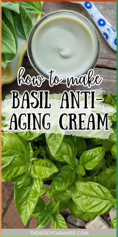 This DIY anti-aging face cream recipe contains fresh basil leaves, nourishing hempseed oil, and skin softening mango (or shea) butter. Holistic Anti Aging, Skin Care Routine Diy Natural, Herbal Face Cream Recipe, Diy Skin Care Recipes Anti Aging, Diy Basil Salve, Herbs For Anti Aging, Diy Basil Oil, Diy Holistic Products, Basil Oil Benefits