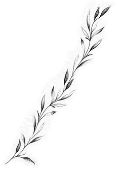 Wrap Around Vine Tattoo Stencil, Spine Vine Tattoo, Olive Leaves Tattoo Design, Laurel Drawing, Vines Tattoo Design, Greenery Tattoo, Flower Vine Tattoo, Laurel Tattoo