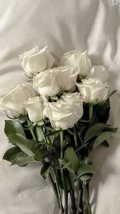 a bunch of white roses sitting on top of a bed