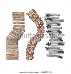 the letter k made out of wood logs and nuts on a white background with clippings