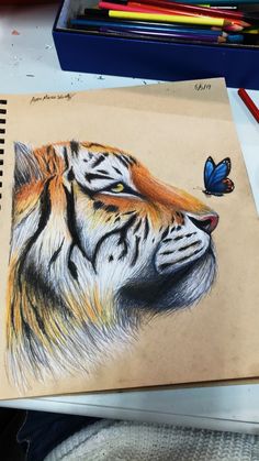 a drawing of a tiger with a butterfly on it's nose and another animal in the background