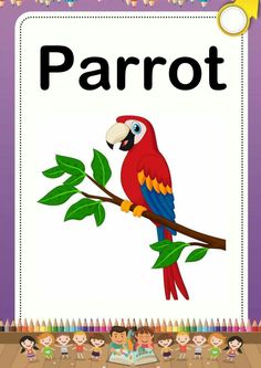 a parrot sitting on top of a tree branch in front of a sign that says parrot