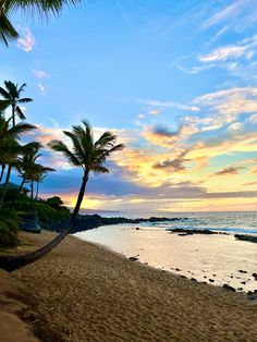 palm trees line the beach as the sun sets over the ocean in this tropical scene