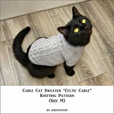 a black cat wearing a sweater with yellow eyes