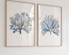 two framed pictures with blue and white flowers in them on the wall next to each other