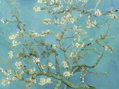 Almond Blossoms, 1890 by Vincent Van Gogh is regarded as one of Van Gogh's most famous and renowned floral paintings Theo Van Gogh, Vincent Willem Van Gogh, Van Gogh Almond Blossom, Almond Tree, Face Socks, Vincent Van Gogh Paintings, Arte Van Gogh, Van Gogh Museum, Almond Blossom