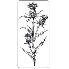 an ink drawing of thistle flowers on a white background with the words, `'i love