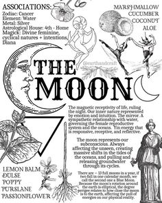 an advertisement for the moon with images of people and plants