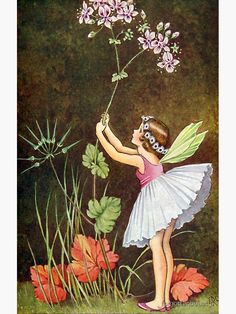 "Flower Fairy - Ida Rentoul Outhwaite" Metal Print by forgottenbeauty | Redbubble Ida Rentoul Outhwaite, Fairy Paintings, Flora Flowers, Flower Fairy