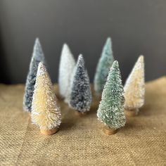 small miniature trees sitting on top of a table