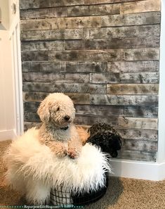 a teddy bear sitting on top of a basket in front of a wall made out of wood planks