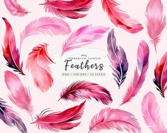 pink and purple feathers on a white background with the words,'congratulations to all those feathers