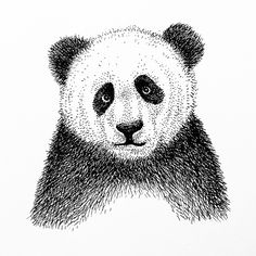 a drawing of a panda bear's face with black and white lines on it