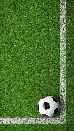 a soccer ball sitting on top of a lush green field next to a white line