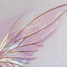 a close up of a butterfly wing on a white background with pink and blue colors