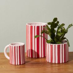 three red and white striped mugs with a plant in them on a wooden table