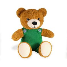 a brown teddy bear wearing a green overall