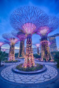 gardens by the bay at night with lights on trees and people walking in the distance