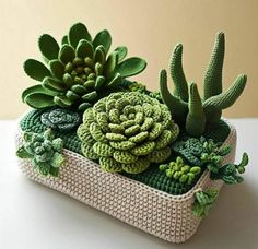 a crocheted planter with succulents in it on a table