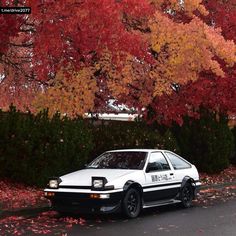 a police car is parked on the side of the road in front of some colorful trees